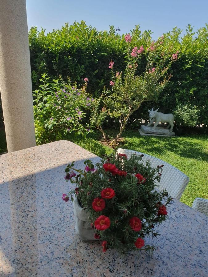 באסקה וודה Villa Maric מראה חיצוני תמונה